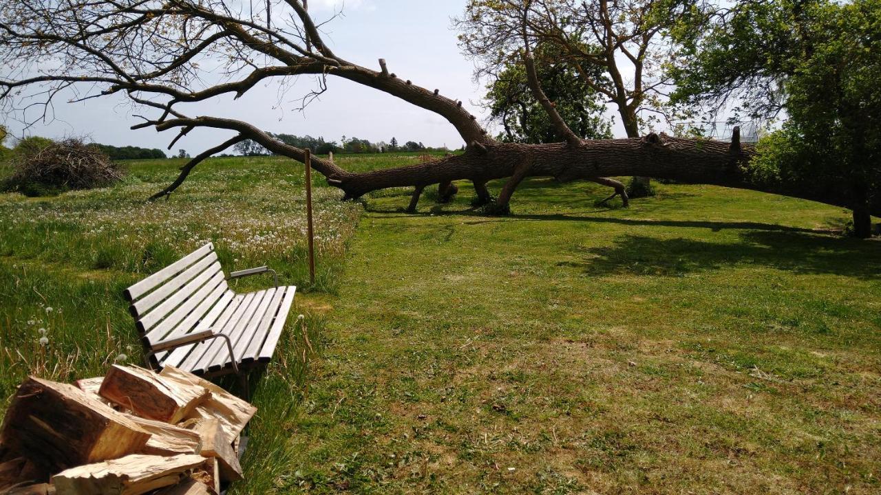 Cosy Farmhouse Glamping Stege Εξωτερικό φωτογραφία